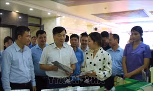 Phát triển thương hiệu và tiêu thụ sản phẩm OCOP