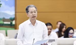 Hoàn thiện quy trình pháp lý đưa người từ đủ 12 đến dưới 18 tuổi đi cai nghiện ma túy