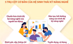 Hình thành đội ngũ nhân lực có kỹ năng, tạo động lực bứt phá cho nền kinh tế