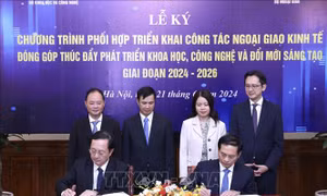 Phối hợp triển khai công tác ngoại giao kinh tế
