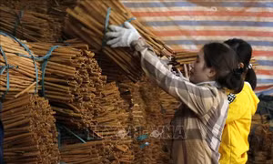 Tạo động lực phát triển kinh tế từ các sản phẩm OCOP