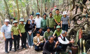 Độc đáo Lễ cúng rừng của đồng bào Jrai