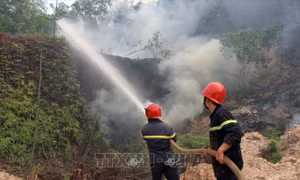 Cháy rừng tại Thừa Thiên - Huế có nguy cơ ảnh hưởng vận hành an toàn điện