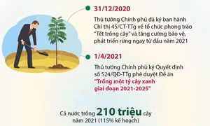 Trồng một tỷ cây xanh - Vì một Việt Nam xanh