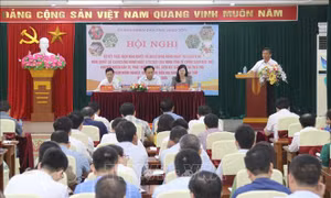 Lạng Sơn: Nhiều chính sách hỗ trợ phát triển nông nghiệp hiệu quả
