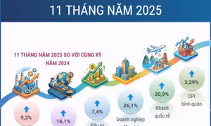 11 tháng năm 2025: Kinh tế Việt Nam duy trì xu hướng tích cực