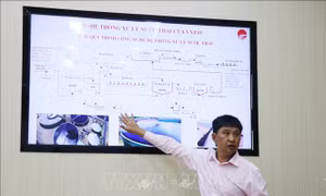 Thông tin việc thi công tuyến ống nước ngầm xả nước thải sau xử lý của Nhà máy bột - giấy VNT19