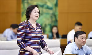 Tăng tính tự chủ và trách nhiệm giải trình của chính quyền địa phương