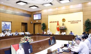 Phiên họp thứ 46 Ủy ban Thường vụ Quốc hội: Đề xuất giao Chính phủ quyết định mở rộng đối tượng được vay vốn hỗ trợ tạo việc làm