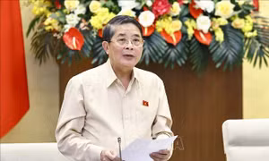 Không áp dụng thuế suất ưu đãi với doanh nghiệp, công ty con để tránh trục lợi chính sách