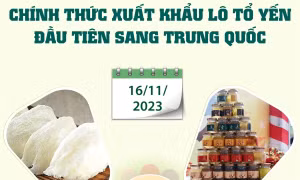 Chính thức xuất khẩu lô tổ yến đầu tiên sang Trung Quốc