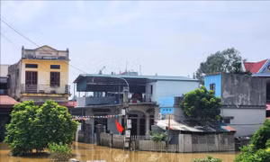 Bắc Ninh: Nước tại các xã bị ngập đang rút nhanh