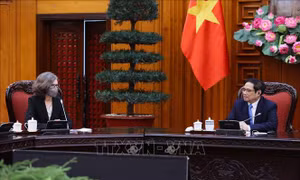 Thủ tướng Phạm Minh Chính tiếp Đại sứ Canada Deborah Paul tới chào từ biệt