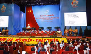 Thúc đẩy bình đẳng giới, vì sự tiến bộ của phụ nữ Việt Nam
