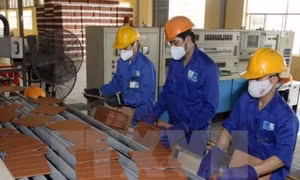 Năm 2020 sẽ thoái hết phần vốn Nhà nước tại Viglacera