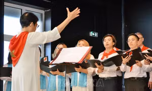 Hòa nhịp văn hóa, gắn kết tình hữu nghị Pháp-Việt