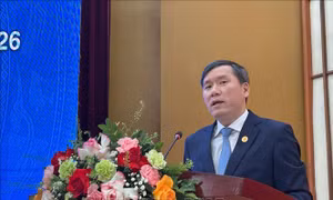 Nâng cao chất lượng tư vấn chính sách trong mô hình hoạt động mới