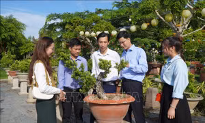 Chia sẻ tiến bộ công nghệ và xu hướng mới trong sản xuất hoa kiểng