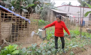 Chăm lo Tết cho người dân vùng lũ lụt Cẩm Thạch
