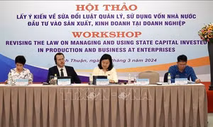 Góp ý sửa đổi Luật quản lý, sử dụng vốn nhà nước đầu tư vào sản xuất, kinh doanh tại doanh nghiệp