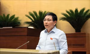Trình Quốc hội cơ chế, chính sách đặc biệt phát triển kinh tế tư nhân