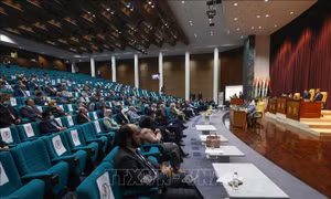 Libya tiến hành bầu cử các hội đồng thành phố 