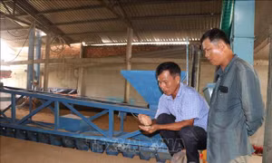 Giúp nông dân làm giàu trên mảnh đất quê hương