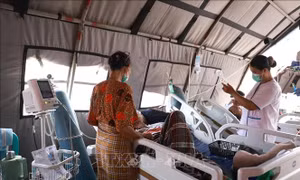 Động đất Indonesia: Chuyển trọng tâm từ cứu trợ khẩn cấp sang phục hồi 