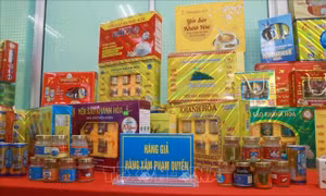 Hàng giả và xâm phạm thương hiệu ảnh hưởng đến tăng trưởng và mở rộng thị trường