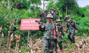 Sự sống nảy mầm trên những vùng 'đất chết' - Bài cuối: Dấu ấn trên những vùng đất hồi sinh
