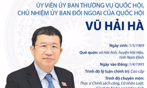 Chủ nhiệm Ủy ban Đối ngoại của Quốc hội Vũ Hải Hà