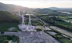 10 sự kiện kinh tế Việt Nam nổi bật năm 2024