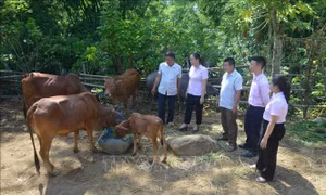 Đưa vốn chính sách đến với vùng sâu Sơn La