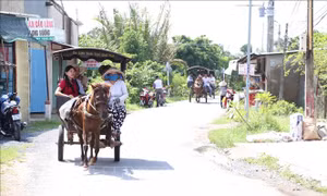 Nhiều hoạt động gắn kết các thành viên trong gia đình dịp nghỉ lễ dài ngày