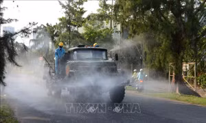 Thêm 32 trường hợp dương tính lần 1 với SARS-CoV-2 tại quận Sơn Trà, Đà Nẵng