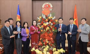 Phó Chủ tịch Quốc hội Nguyễn Thị Thanh chúc mừng Ngày Thầy thuốc Việt Nam