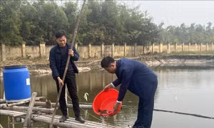 Áp dụng khoa học công nghệ, nâng cao sản lượng nuôi thủy sản