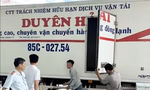 Phát hiện hơn 650.000 con tôm giống chưa qua kiểm dịch