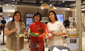 Thực phẩm Việt Nam chinh phục người tiêu dùng Hong Kong (Trung Quốc)
