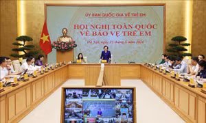 Bảo vệ trẻ em là nhiệm vụ ưu tiên trong chiến lược phát triển con người Việt Nam