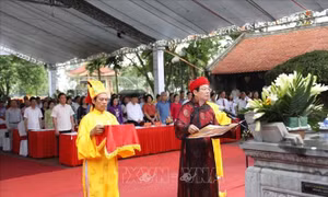 Tri ân công đức Đại danh y, Thiền sư Tuệ Tĩnh