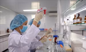 Tạo mạng lưới chuyên gia, nhà khoa học làm động lực phát triển mới