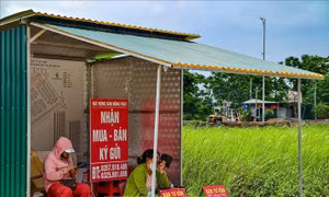Hà Nội sẽ kiểm tra hoạt động môi giới tại khu tái định cư cầu vượt sông Hồng