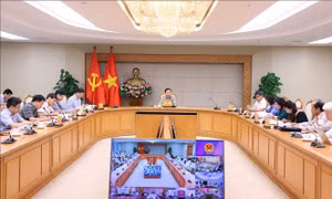 Hoàn thiện Bộ tiêu chí OCOP theo hướng xây dựng thương hiệu quốc gia, đáp ứng yêu cầu mới