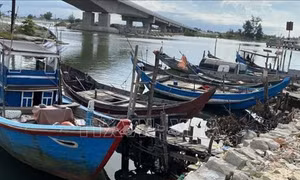 Chỉ đạo của Ban Bí thư về ứng phó với cơn bão số 5 (Kajiki)