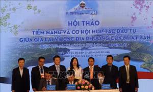 Tiềm năng và cơ hội hợp tác đầu tư giữa Gia Lai và Nhật Bản