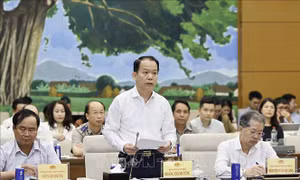  Luật Phát triển đô thị phải mở thêm không gian cho những cực tăng trưởng mới
