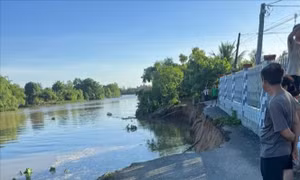 Sạt lở bờ sông Cần Lố khiến tuyến đường dân sinh bị chia cắt