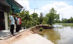 Đồng Tháp triển khai đồng bộ giải pháp phòng, chống sụt lún, sạt lở đến năm 2035