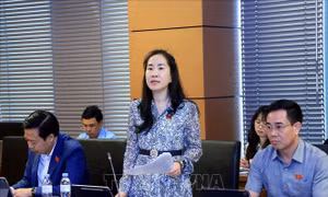 Đại biểu Quốc hội đề xuất giải pháp cho mục tiêu tăng trưởng cao
